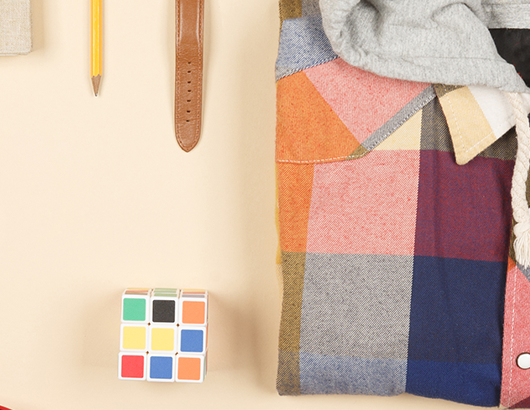 蚂蚁分类信息系统